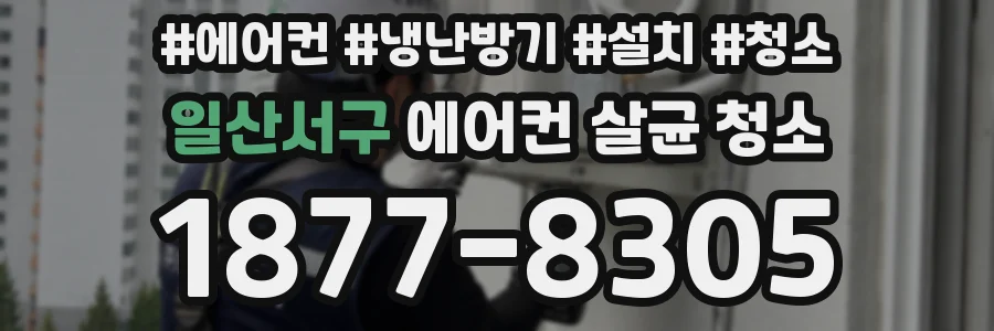 일산서구 에어컨 살균 청소