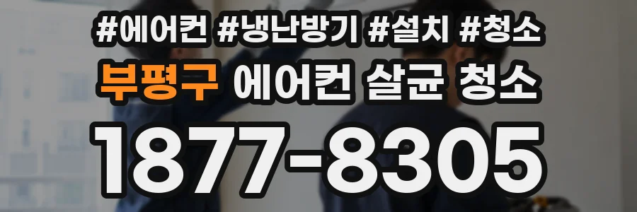 부평구 에어컨 살균 청소