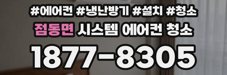 점동면 시스템 에어컨 청소