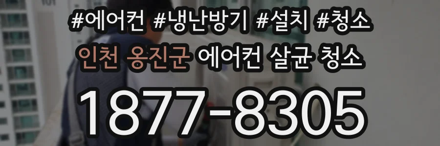 인천 옹진군 에어컨 살균 청소