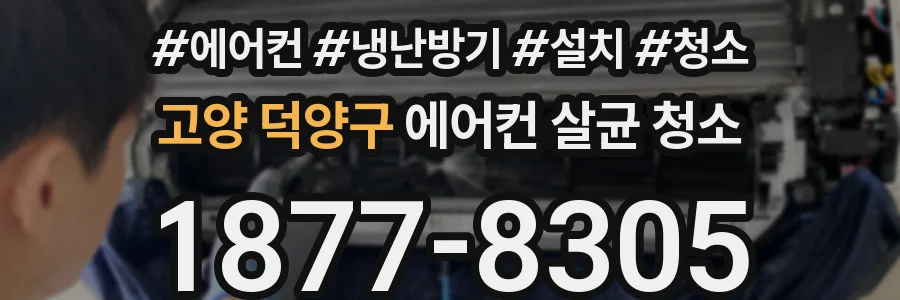 고양 덕양구 에어컨 살균 청소