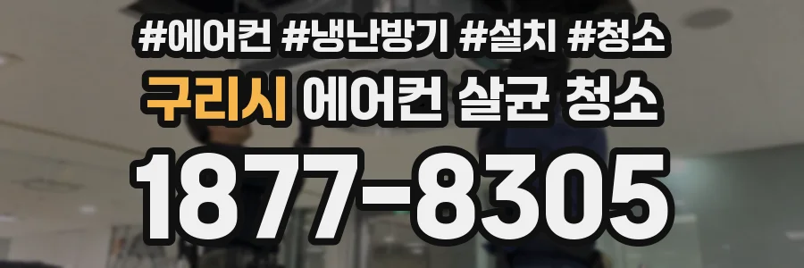 구리시 에어컨 살균 청소