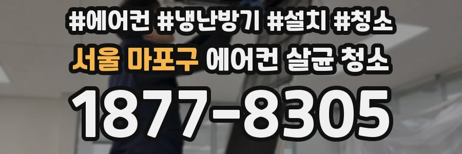 서울 마포구 에어컨 살균 청소