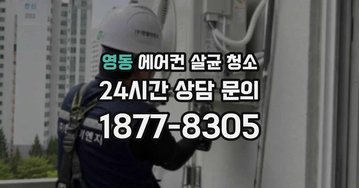 영동 에어컨 살균 청소