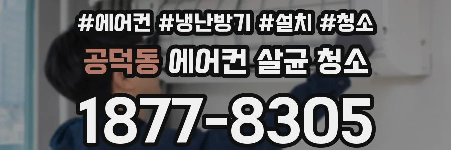 공덕동 에어컨 살균 청소