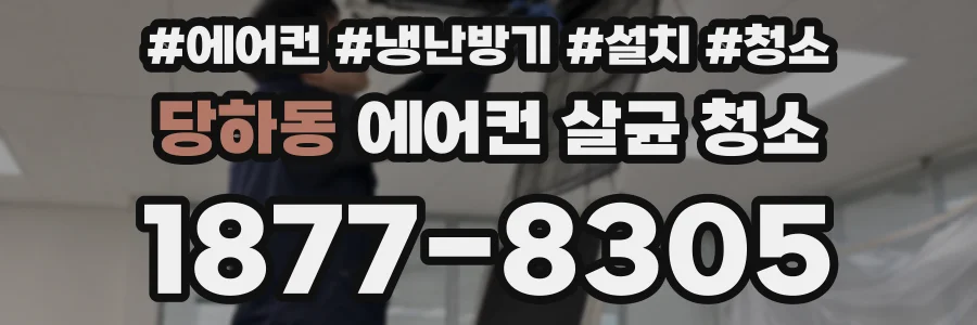 당하동 에어컨 살균 청소