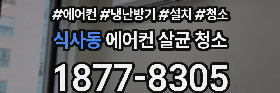 식사동 에어컨 살균 청소