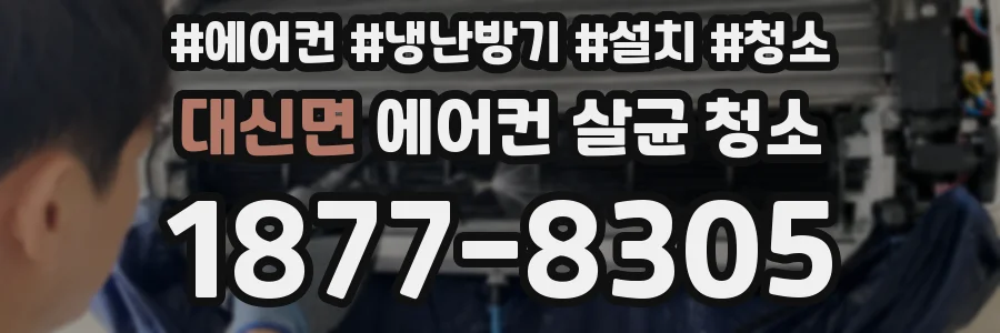 대신면 에어컨 살균 청소