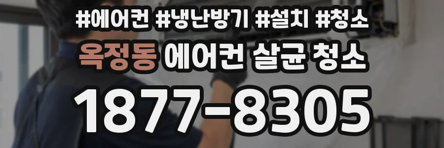 옥정동 에어컨 살균 청소