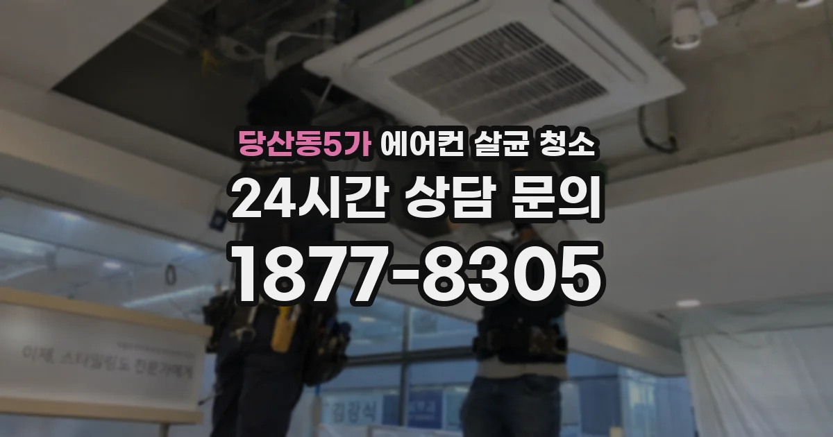 당산동5가 에어컨 살균 청소