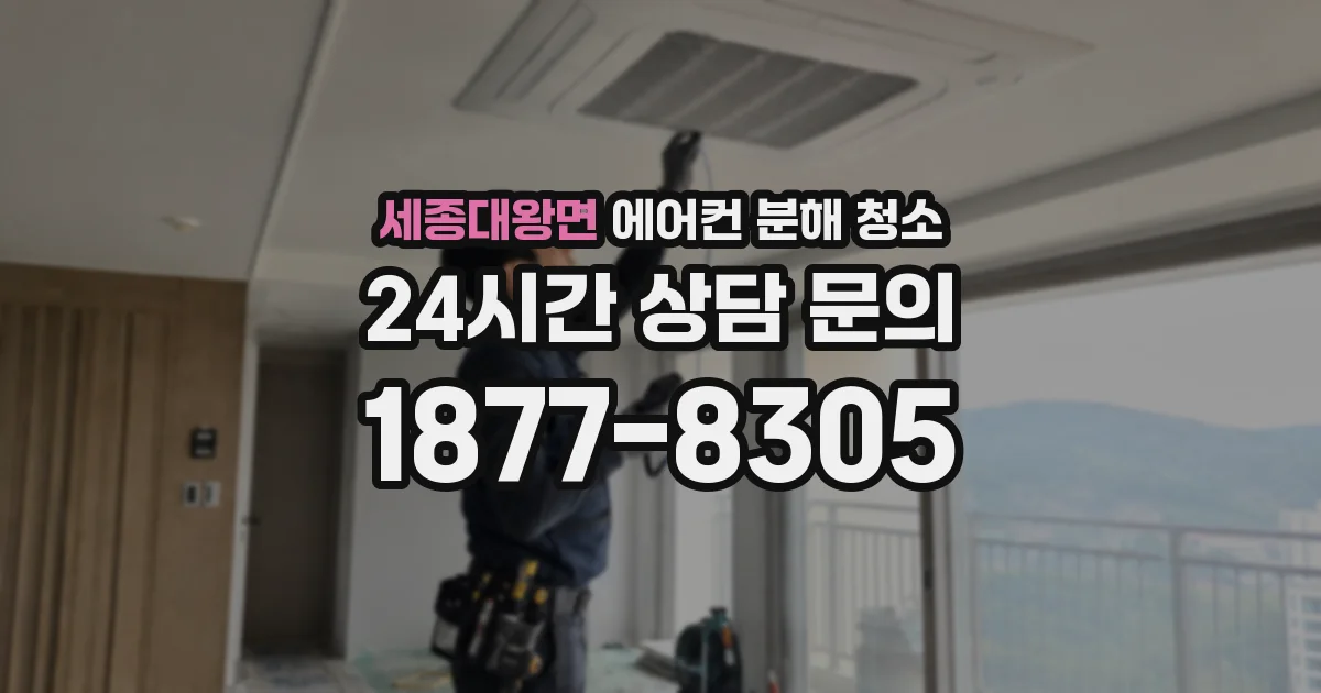세종대왕면 에어컨 분해 청소