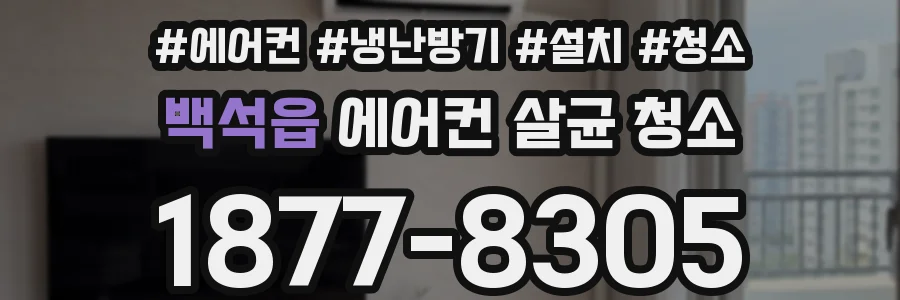 백석읍 에어컨 살균 청소