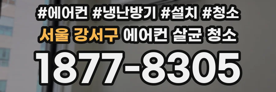 서울 강서구 에어컨 살균 청소