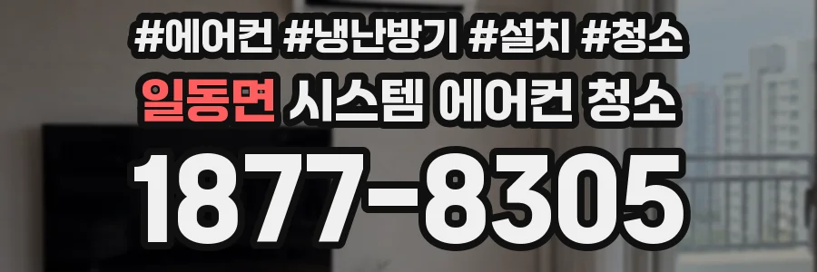 일동면 시스템 에어컨 청소