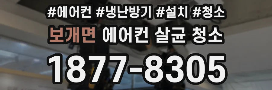 보개면 에어컨 살균 청소