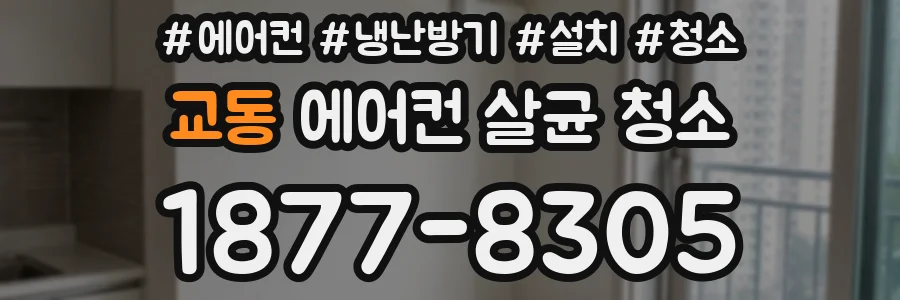 교동 에어컨 살균 청소