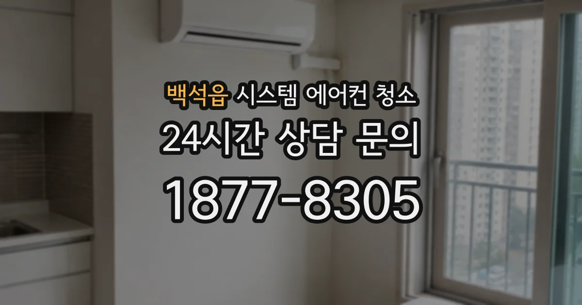 백석읍 시스템 에어컨 청소