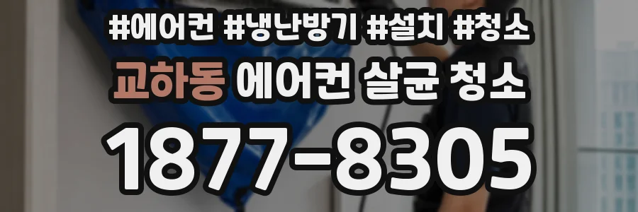 교하동 에어컨 살균 청소