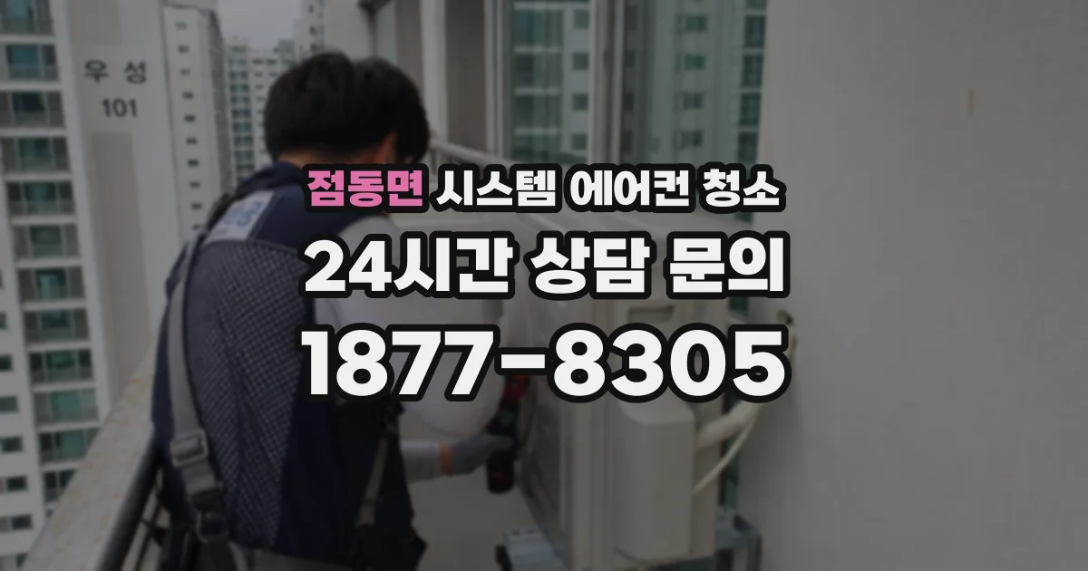 점동면 시스템 에어컨 청소