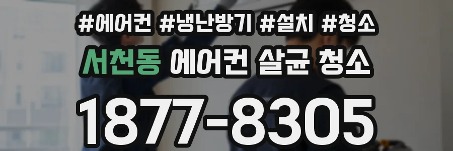 서천동 에어컨 살균 청소
