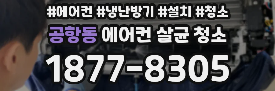 공항동 에어컨 살균 청소