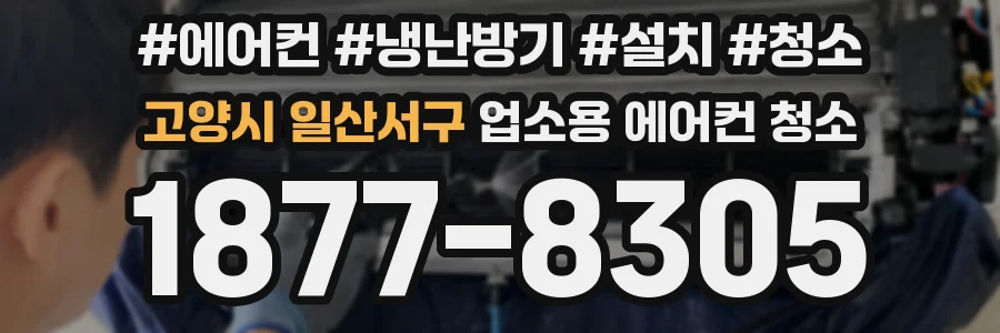 고양시 일산서구 업소용 에어컨 청소