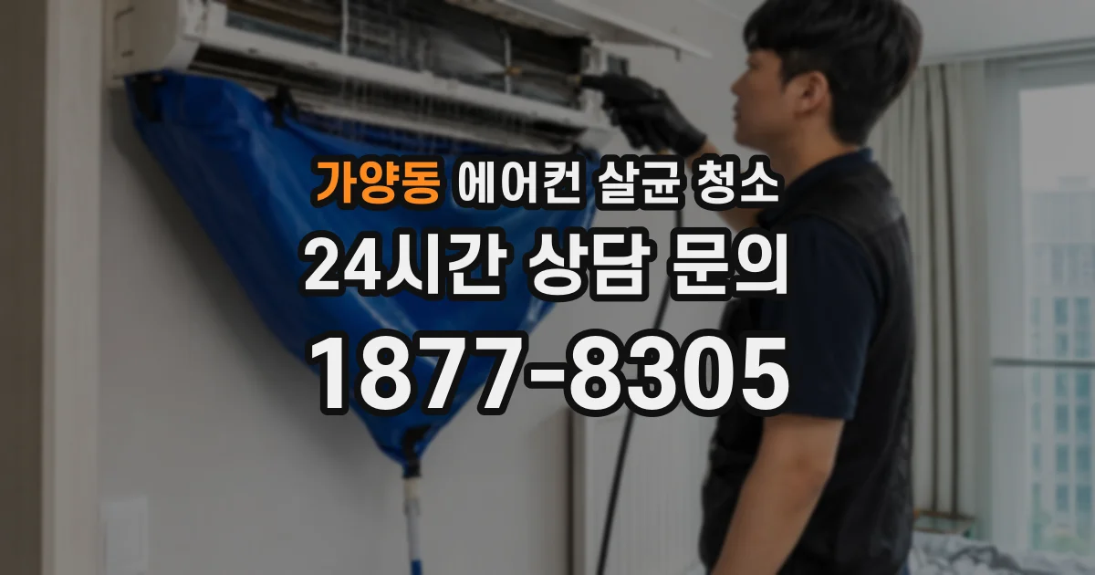 가양동 에어컨 살균 청소