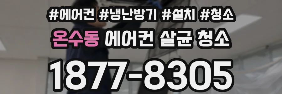 온수동 에어컨 살균 청소