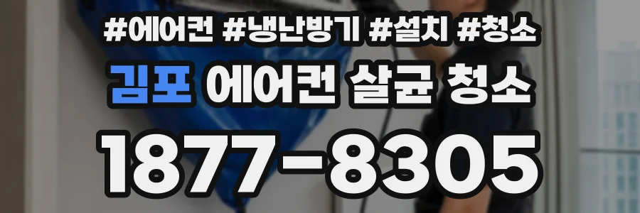 김포 에어컨 살균 청소