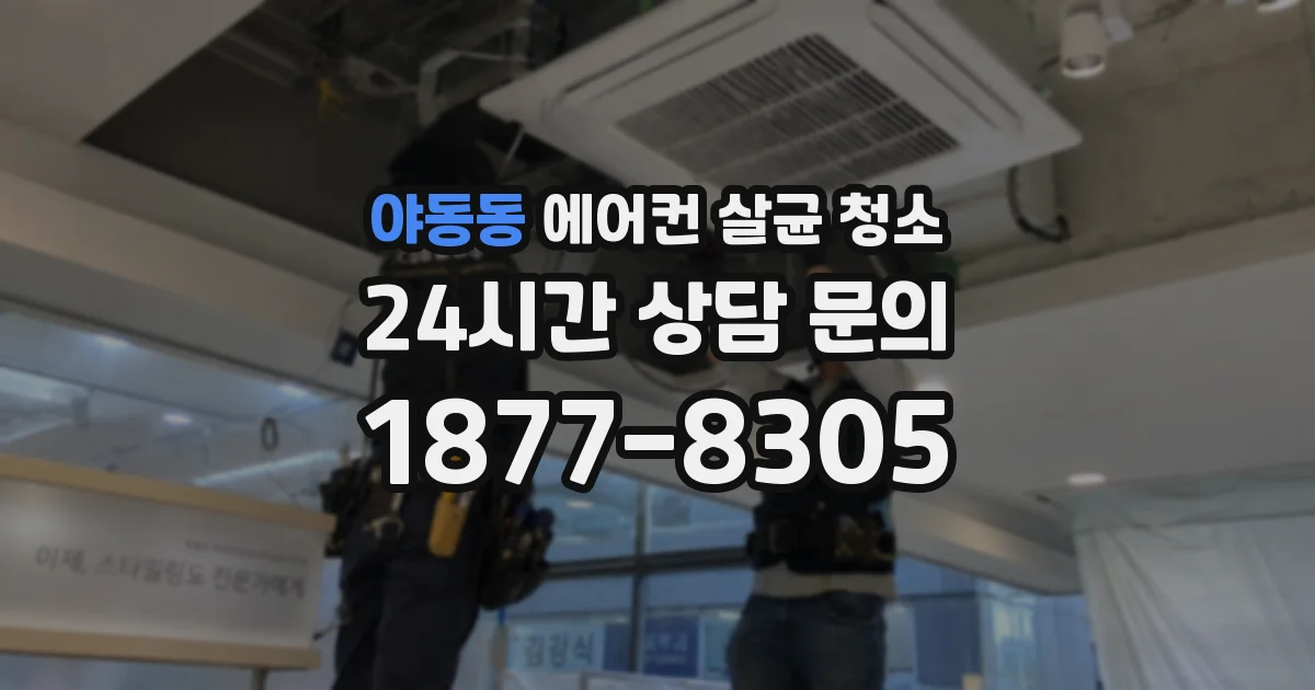 야동동 에어컨 살균 청소