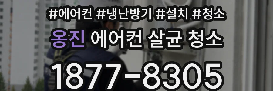 옹진 에어컨 살균 청소