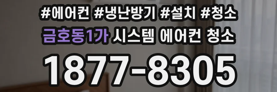 금호동1가 시스템 에어컨 청소