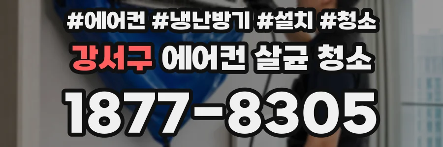 강서구 에어컨 살균 청소
