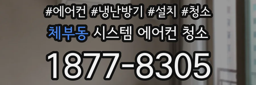 체부동 시스템 에어컨 청소