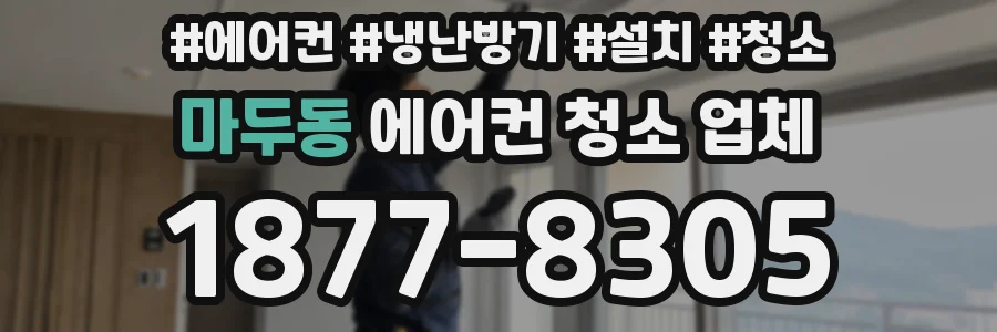 마두동 에어컨 청소 업체