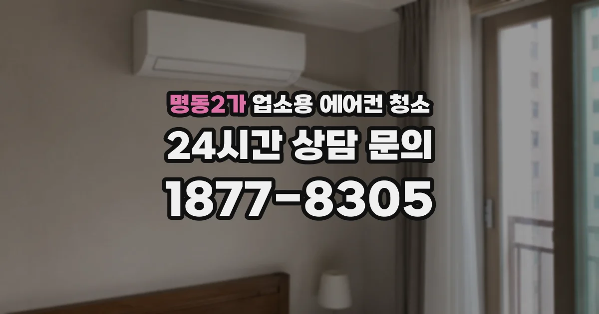 명동2가 업소용 에어컨 청소