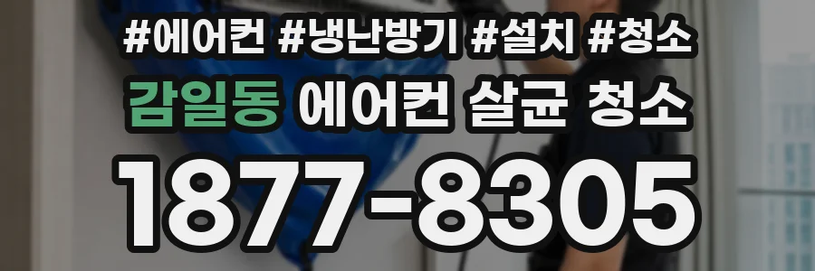 감일동 에어컨 살균 청소