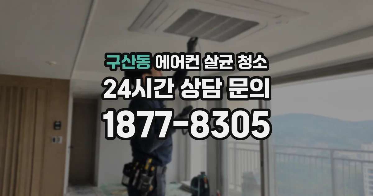 구산동 에어컨 살균 청소