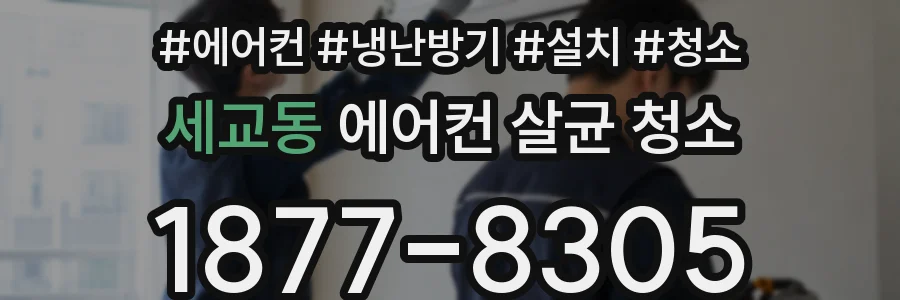 세교동 에어컨 살균 청소