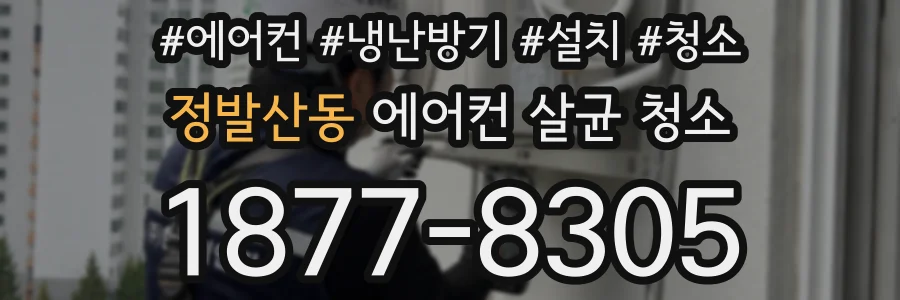 정발산동 에어컨 살균 청소
