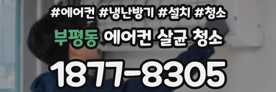 부평동 에어컨 살균 청소