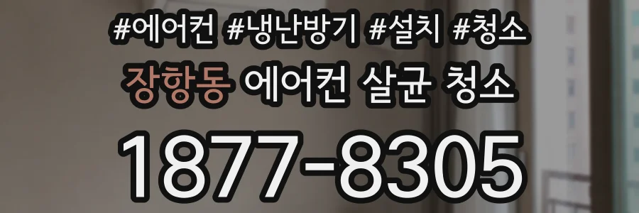 장항동 에어컨 살균 청소
