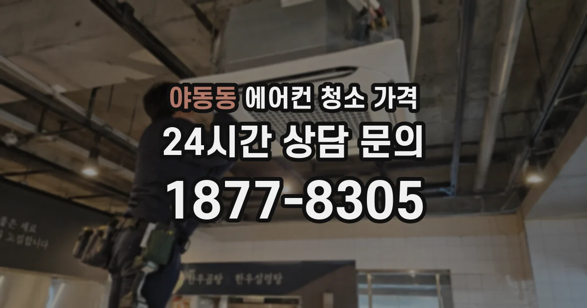 야동동 에어컨 청소 가격
