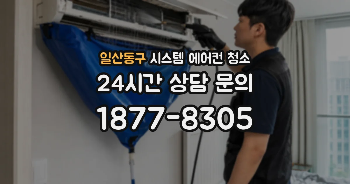 일산동구 시스템 에어컨 청소