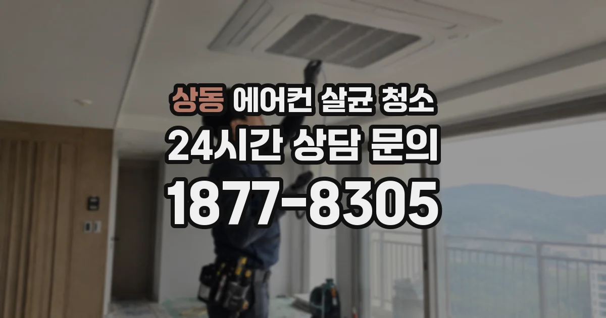 상동 에어컨 살균 청소
