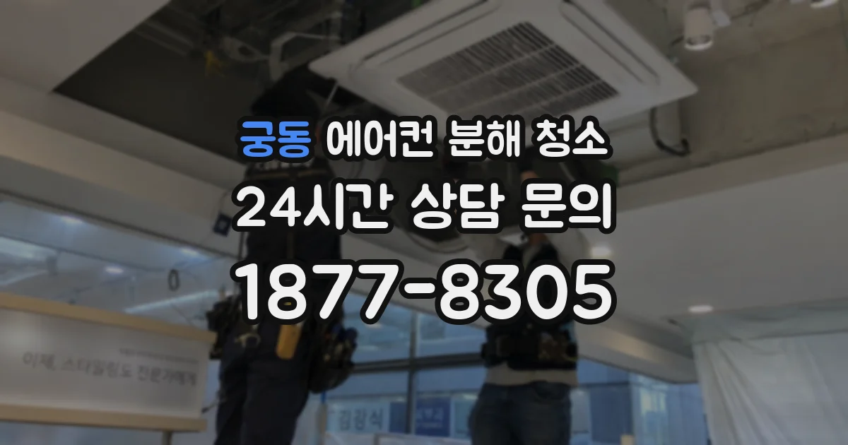 궁동 에어컨 분해 청소