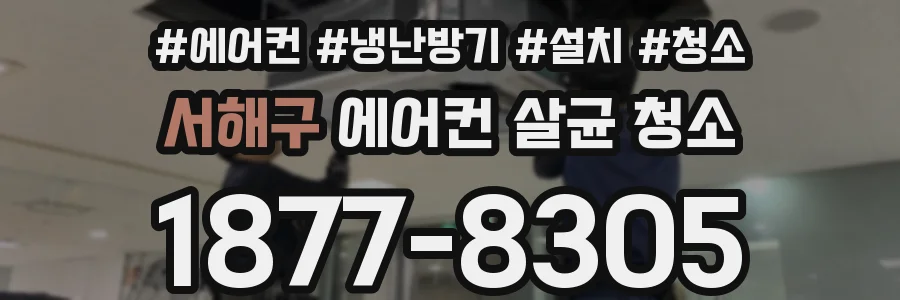 서해구 에어컨 살균 청소