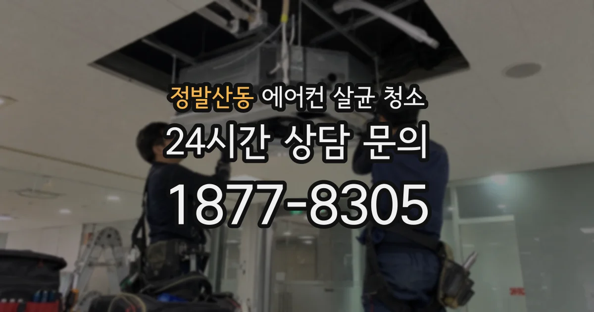 정발산동 에어컨 살균 청소