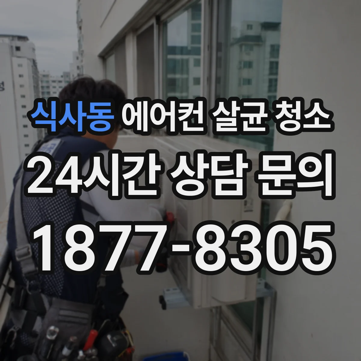 식사동 에어컨 살균 청소