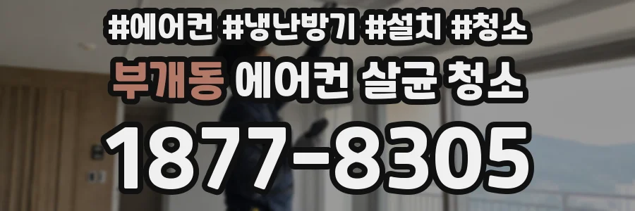 부개동 에어컨 살균 청소